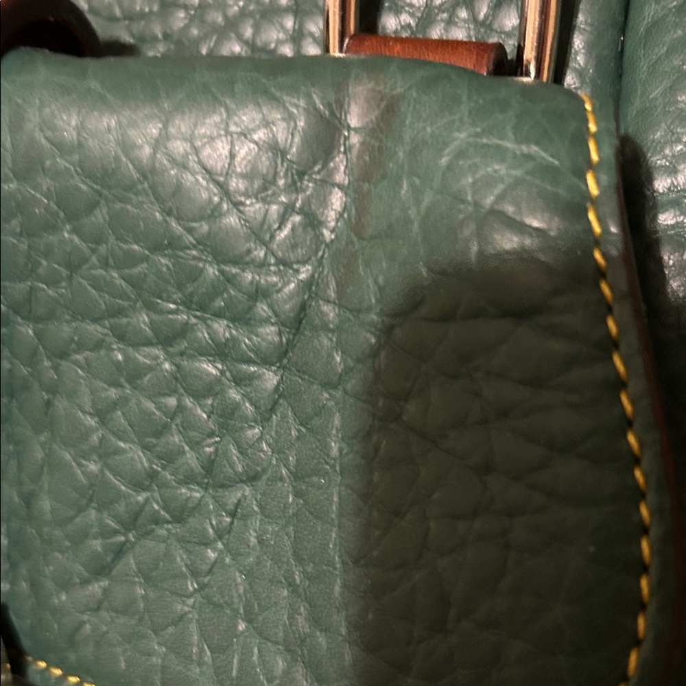 Dooney & Bourke Green Satchel with Brown Accents - Picture 4 of 11